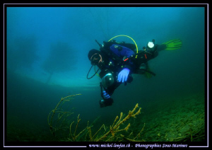 My Freind Sven diving in a small lake not far from home l... by Michel Lonfat 